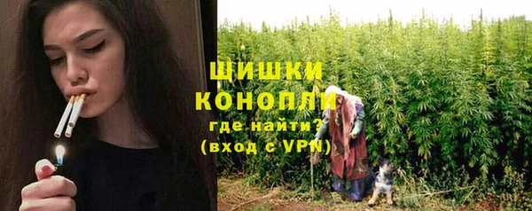 PSILOCYBIN Надым