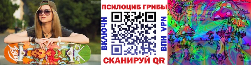 купить наркотики сайты  Королёв  Галлюциногенные грибы Magic Shrooms 